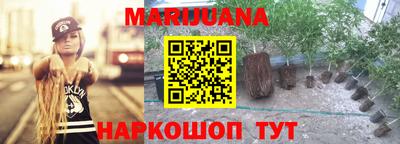бошки Будённовск