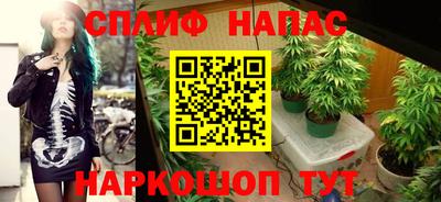 бошки Будённовск