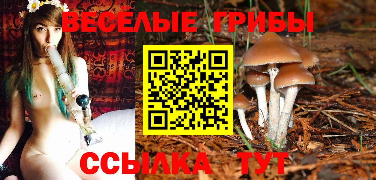Кызыл  Галлюциногенные грибы мухоморы  Вход с VPN 
