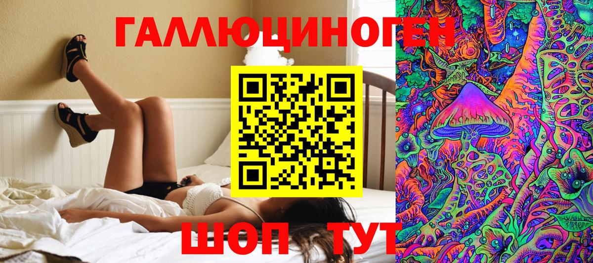 Галлюциногенные грибы Psilocybine cubensis Кызыл