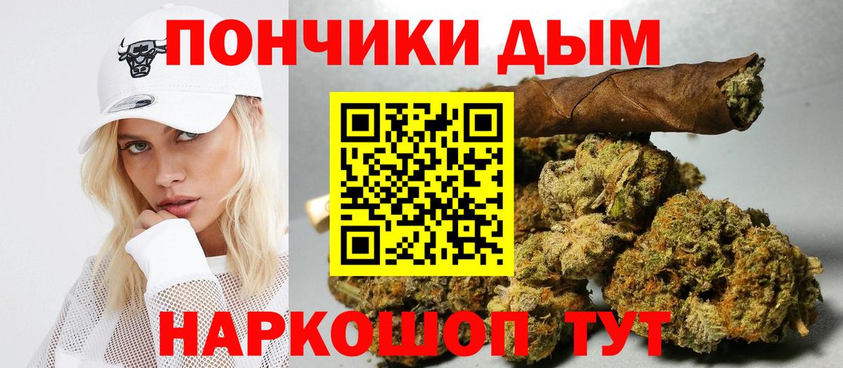 Конопля сатива Кызыл